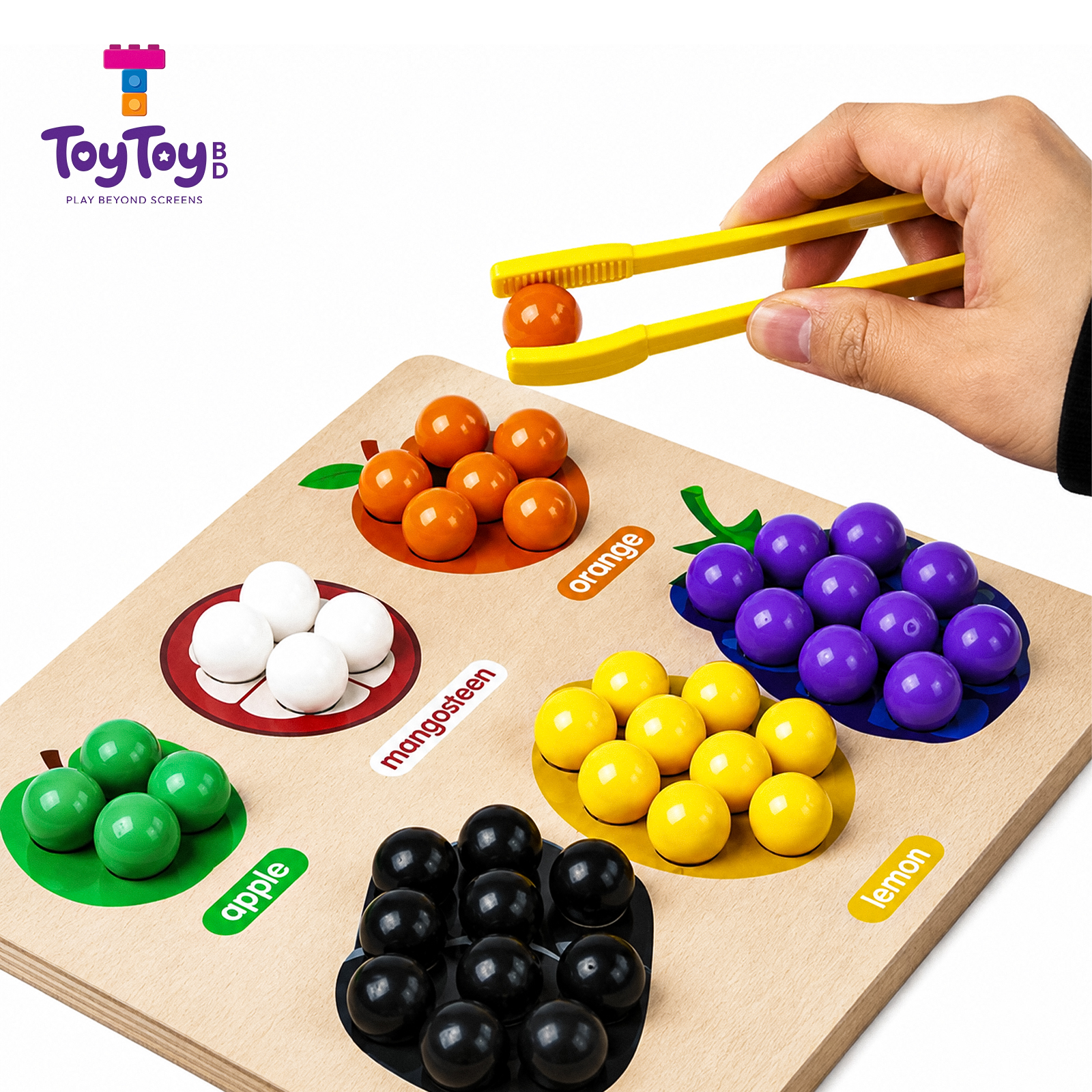 Wooden Fruit Color Sorting Game